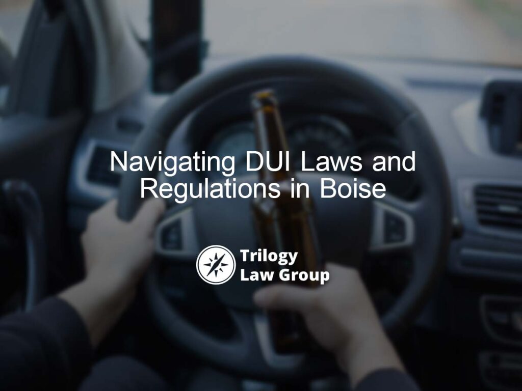 Navigating DUI Laws and Regulations in Boise